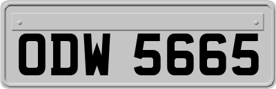 ODW5665