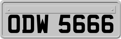ODW5666