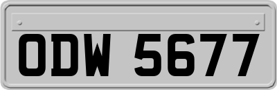 ODW5677