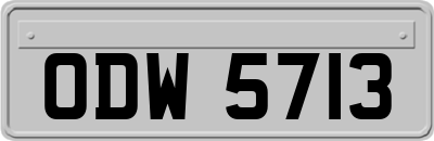 ODW5713