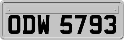 ODW5793