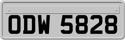 ODW5828