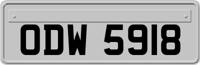 ODW5918