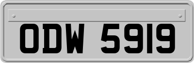 ODW5919