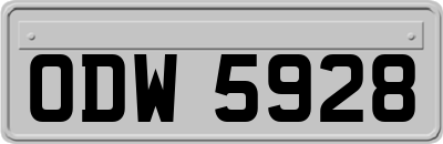 ODW5928