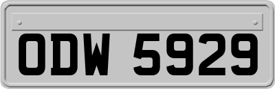 ODW5929
