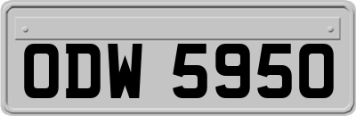 ODW5950
