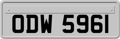 ODW5961