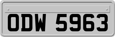ODW5963