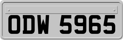 ODW5965