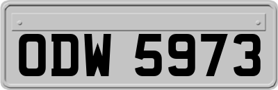 ODW5973