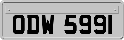 ODW5991