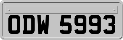 ODW5993
