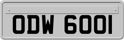 ODW6001
