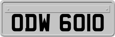 ODW6010