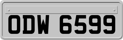 ODW6599
