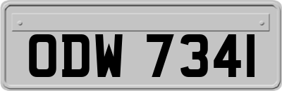 ODW7341