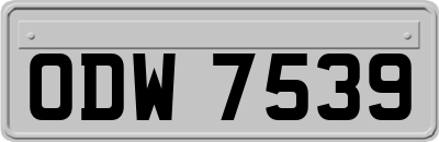 ODW7539