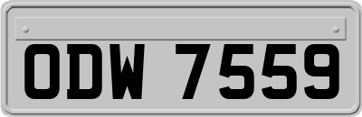 ODW7559