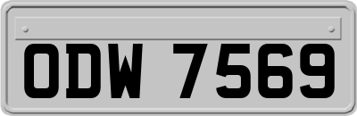 ODW7569