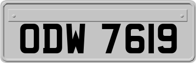 ODW7619