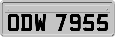 ODW7955