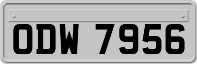 ODW7956
