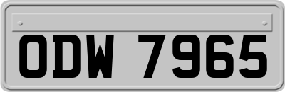 ODW7965