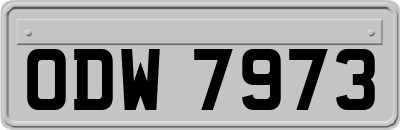 ODW7973