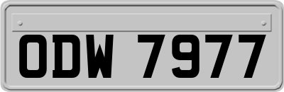 ODW7977