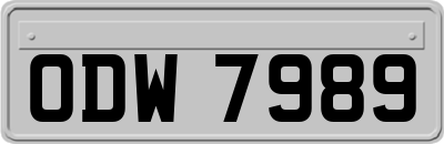ODW7989