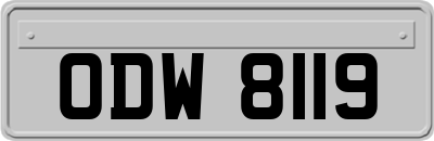 ODW8119