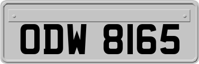 ODW8165