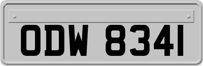 ODW8341
