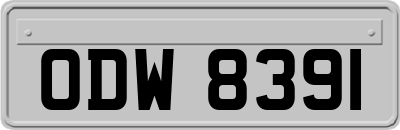 ODW8391
