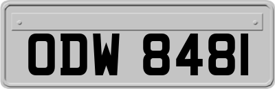 ODW8481