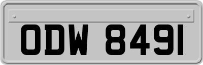 ODW8491