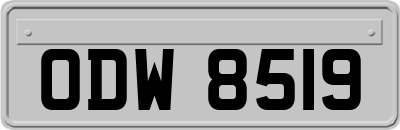 ODW8519