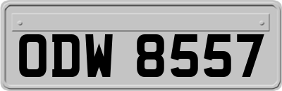 ODW8557
