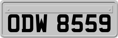 ODW8559