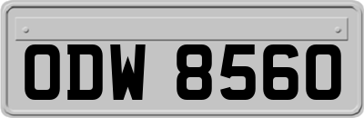 ODW8560