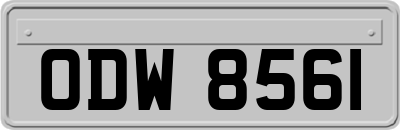 ODW8561