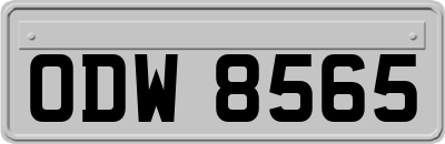ODW8565