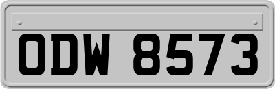 ODW8573