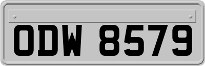 ODW8579