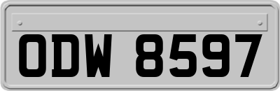 ODW8597