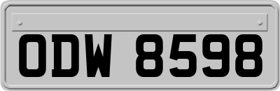 ODW8598