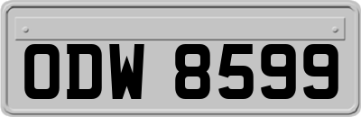 ODW8599