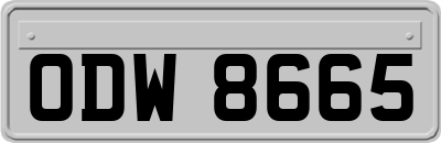 ODW8665