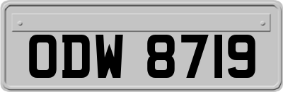 ODW8719